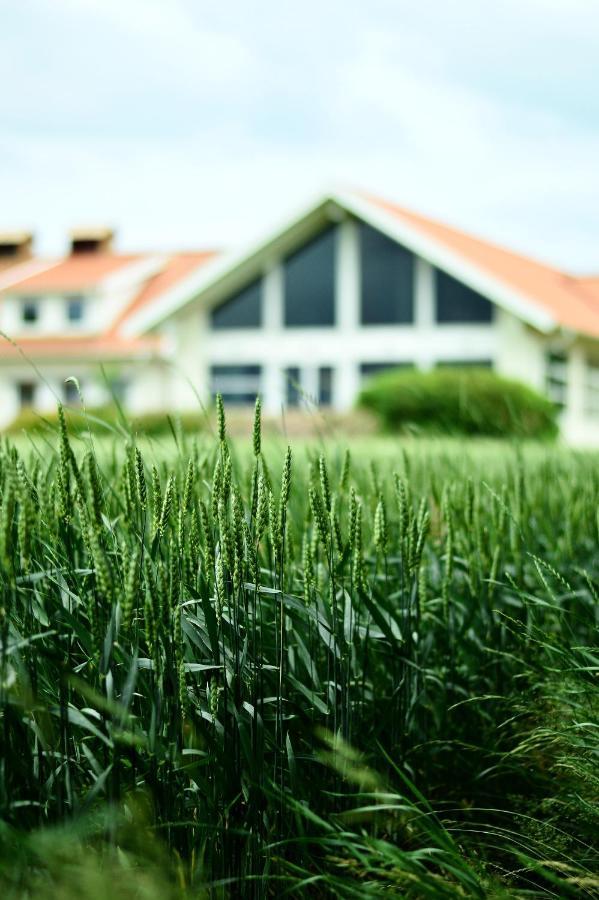 Katrinebergs Folkhoegskola B&B Vessigebro Exterior foto